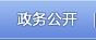 政务公开